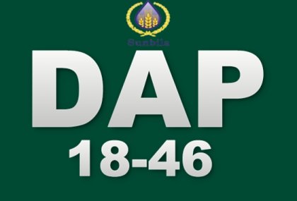 DAP 18-46
